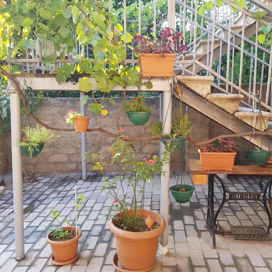 Домик У Куры Hotel Tbilisi Ngoại thất bức ảnh